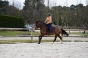 Ponette 6 ans Prête sur 110cm