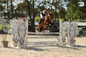 Ponette 6 ans Prête sur 110cm