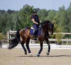 SF 5 ans Dressage 
