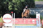 Jument Cso Amateur 2