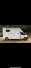 vendre camion chevaux