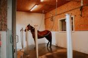 HARAS