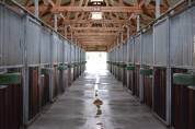 HARAS