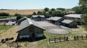 HARAS