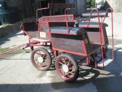jument haflinger 