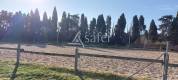 Propriété équestre proche du centre de Salon-de-Provence