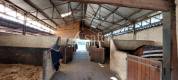 Propriété équestre proche du centre de Salon-de-Provence
