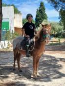 Double poney