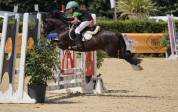 pony in vendita