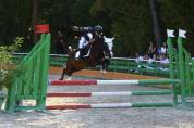pony in vendita