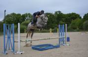 Jument 4ans par untouchable27 x Diamant de Semilly 