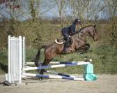 Poney D PFS