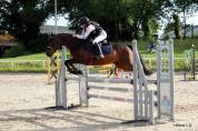 Poney D PFS