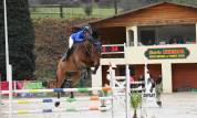Hongre 11 ans, Selle-Français, CSO 120-125