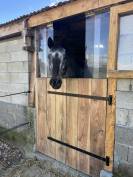 Pension chevaux
