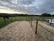 Ecurie loisir, Pension chevaux