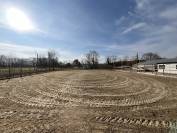 Ecurie loisir, Pension chevaux