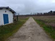 Exploitation agricole 5ha + 500 m2 bâtiment en Gironde 