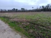 Exploitation agricole 5ha + 500 m2 bâtiment en Gironde 