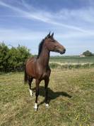 Superbe 3 ans 