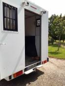 Camion chevaux 
