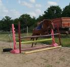 ponette connemara part bred 5 ans