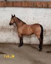 espagnole 7ans
