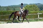 Casall x contendro