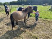 Muffin de la Chevr’horse´Tine