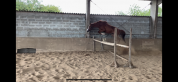 À vendre 