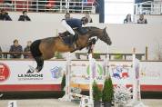 Superbe foal par El Barone, famille performante 150