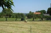 Propriété équestre A vendre Creuse