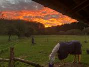 Propriété équestre A vendre Creuse