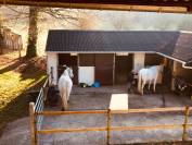 Propriété équestre A vendre Creuse