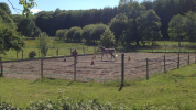 Propriété équestre A vendre Creuse