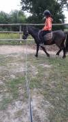 BABOA poney de 1m37 