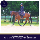 4 ans 1m68 mental en or