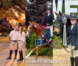 Searching for  of Horses for Our Next Sale!