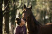 Cheval de sport 5 ans