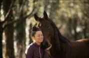 Cheval de sport 5 ans
