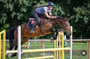 Cheval de sport 5 ans