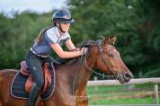 Cheval de sport 5 ans