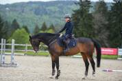 Cheval maître d'école CSO 120
