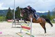 Cheval maître d'école CSO 120