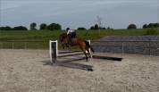 Super cheval pour se faire plaisir!