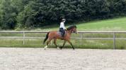 Super cheval pour se faire plaisir!