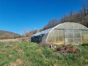 Propriété Agricole sur 38 ha dans le Mirapicien