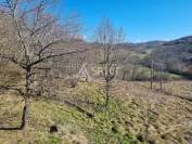 Propri&eacute;t&eacute; agricole sur 7,95 ha secteur MIREPOIX