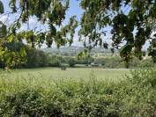 Place en pension disponible 