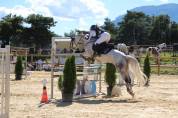 À vendre Égérie d'hurl'vent gagnante Poney Élite 